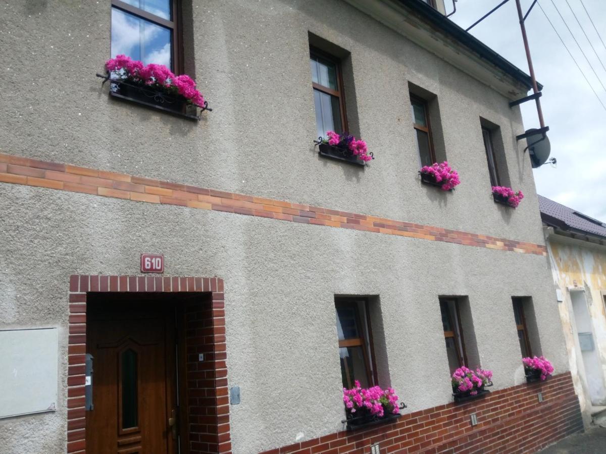 Apartman Albreit 1 Jachymov Bagian luar foto